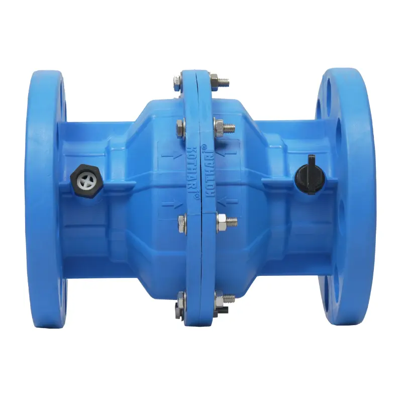 Check Valve (Non Return Valve)